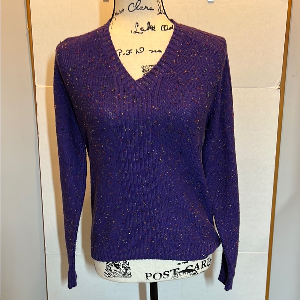 Joyce Purple V-Neck Confetti Women's Sweater